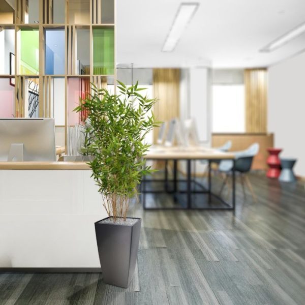 Oriental Bamboe kunstplant 100 cm 7