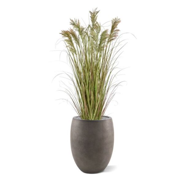 Kunst siergras op het werk