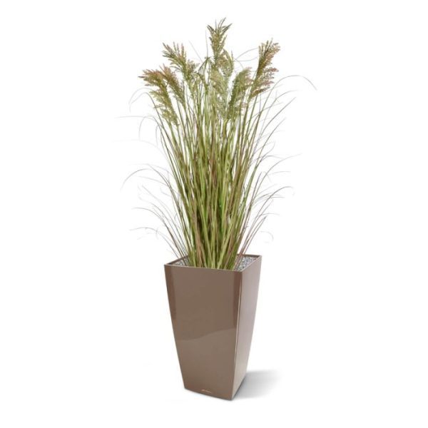Pampas-kunst-grasplant-120cm-in-pot-3 in de horeca of waar dan ook. Waar mag deze unieke plant met eigengereid uiterlijk bij u plaatsnemen? Uren