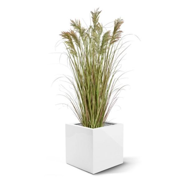 Pampas-kunst-grasplant-120cm-in-pot-4 zo niet dagen