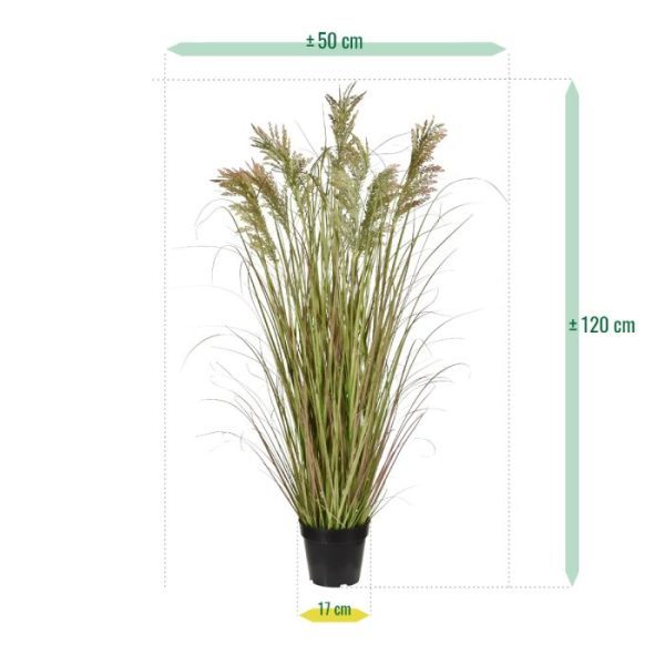 Pampas-kunst-grasplant-120cm-in-pot-5 hebben we aan het ontwerp besteed. Hoe ziet het origineel eruit en hoe kan onze versie daar het beste op lijken? Vervolgens hebben we de beste materialen met de hoogste kwaliteit gezocht om deze tot in detail perfect na te maken. Het resultaat merkt u aan alles. Van de allereerste omkrullende en vlijmscherpe grassprieten onderop tot de aaizachte pluimen bovenin. Deze kunstplant Pampasgras telt 7 pluimen