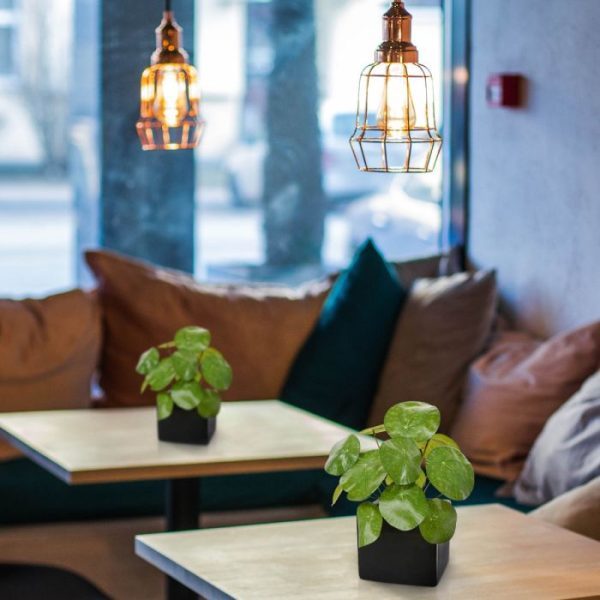 Pannenkoek kunstplant 20 cm in pot 5