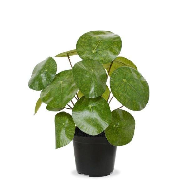 Pannenkoek kunstplant 20 cm in pot 6