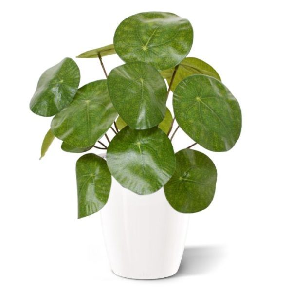 Pannenkoek kunstplant 20 cm in pot 8