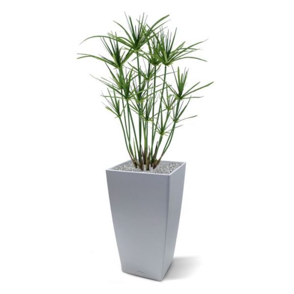 Kunstplanten Papyrus 65 cm kunstplant 1