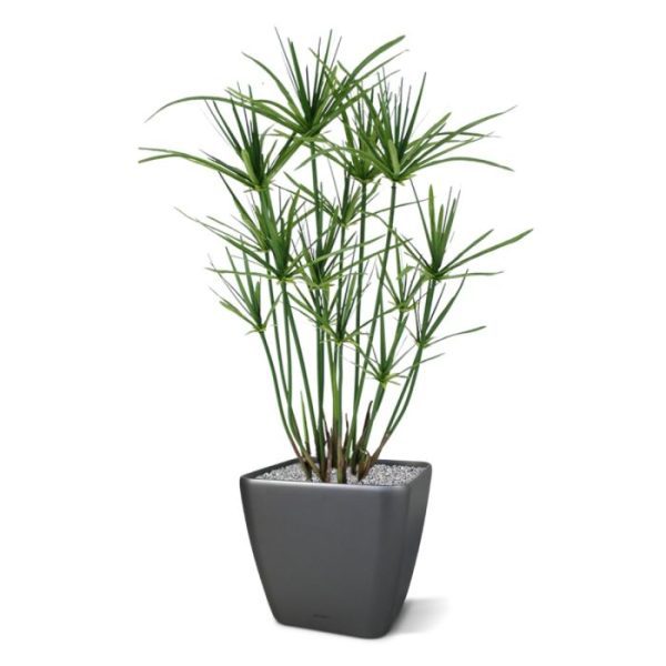 Groene kunstplanten Papyrus 65 cm kunstplant 2