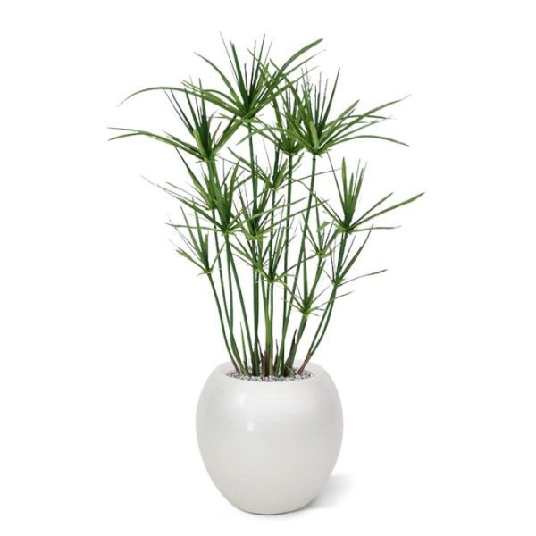 Papyrus-65-cm-kunstplant-9 Papyrus 65 cm kunstplant 9