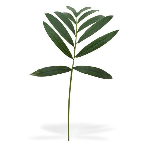 Parlour-Palmtak-60-4 Parlour Palmtak 60 4