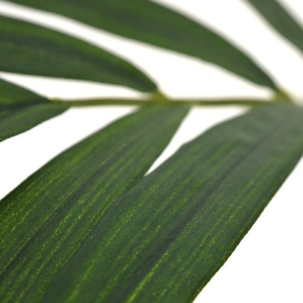 Parlour Palmtak 60 Deze kunst Parlour Palmtak 60 cm dient als basis product voor vele mogelijkheden. Standaard wordt deze kunsttak los geleverd