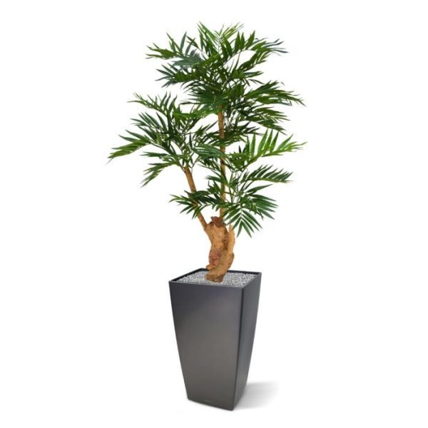 Kunstbomen geprepareerde houten stam en wordt geleverd in een plastic binnenpot. De totale hoogte is ongeveer 125 cm