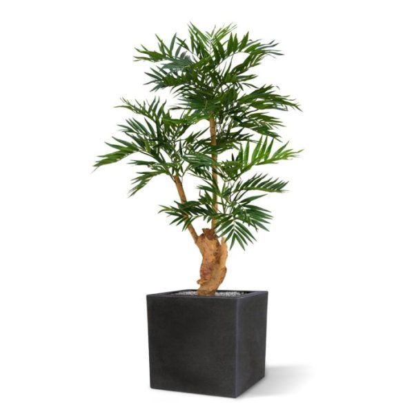 Kunstpalmen de breedte bedraagt circa 80 cm. Zowel in hoge als lage potten is deze Parlour Palm een ware blikvanger!