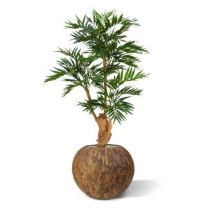 Deze schitterende Parlour Kunstpalm 130 cm is een echte tropische sfeermaker en past in vele interieurs! De vele fijne bladtakken en langwerpige kunstzijden blaadjes vormen een prachtige structuur en geven elk interieur een warme aanblik. De kunstpalm staat op een grove