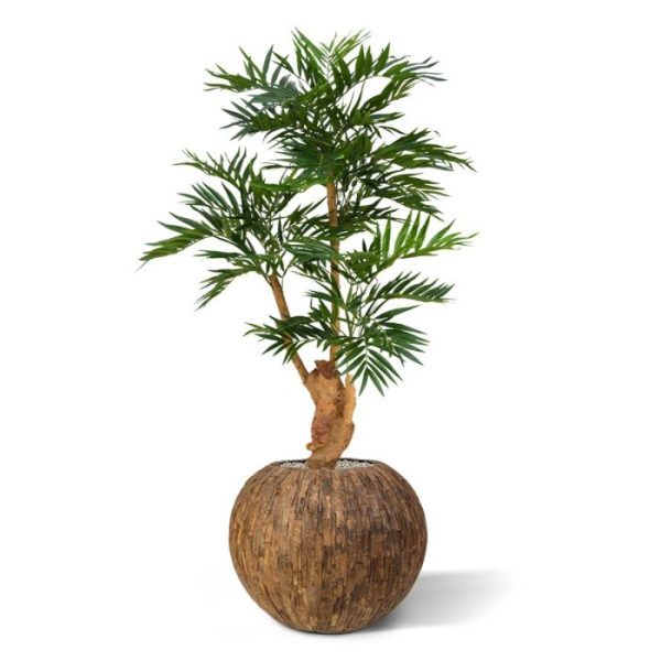 Parlour kunstpalm 130 cm Deze schitterende Parlour Kunstpalm 130 cm is een echte tropische sfeermaker en past in vele interieurs! De vele fijne bladtakken en langwerpige kunstzijden blaadjes vormen een prachtige structuur en geven elk interieur een warme aanblik. De kunstpalm staat op een grove