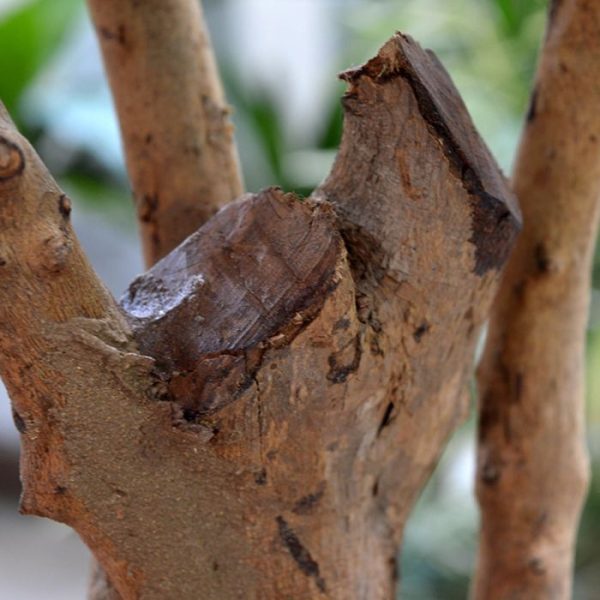 Parlour-kunstpalm-130-cm-9 Parlour kunstpalm 130 cm 9