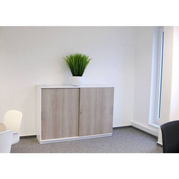 Pennisetum Pluimgras boeket 50cm 4