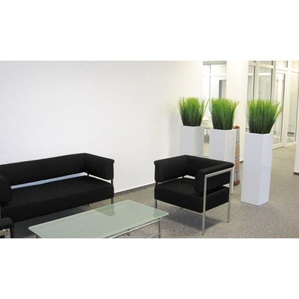 Pennisetum Pluimgras boeket 50cm 5