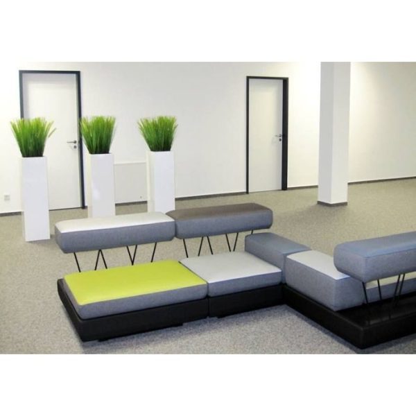 Pennisetum Pluimgras boeket 50cm 6