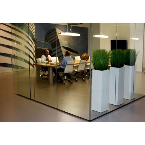 Pennisetum Pluimgras boeket 50cm 9