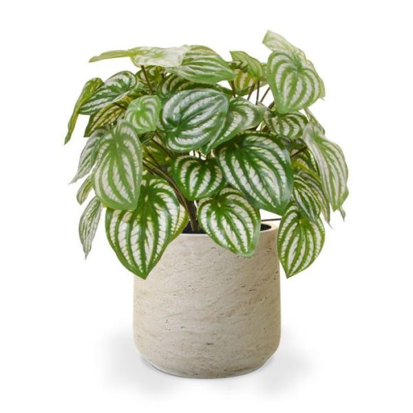 Kunstplanten maar valt ook zeker op tussen andere groene planten.   De totale hoogte van het boeket is inclusief pot ongeveer 32 cm hoog. De breedte is ongeveer 25 cm.   Deze versie wordt geleverd in een standaard binnen pot