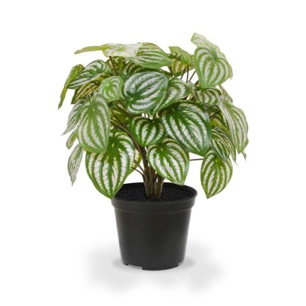 Peperomia-kunstplant-30-cm-in-pot-7 Peperomia kunstplant 30 cm in pot 7