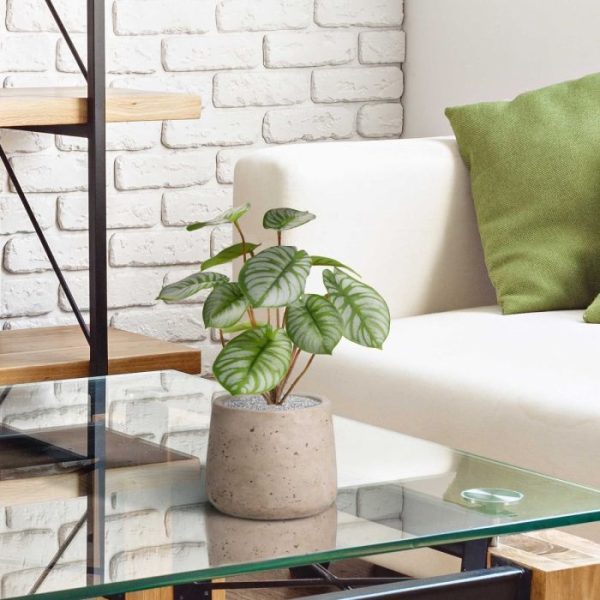 Pepperomia kunstboeket RT 25 cm 10