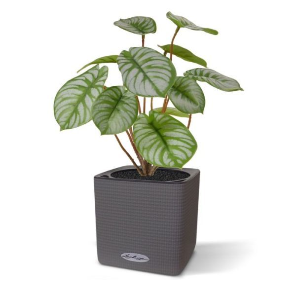 vergadertafel of waar dan ook neerzet?