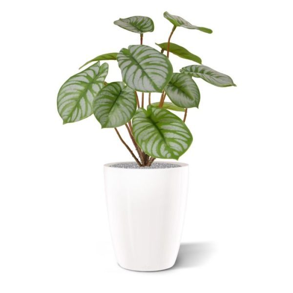 Pepperomia kunstboeket RT 25 cm 9