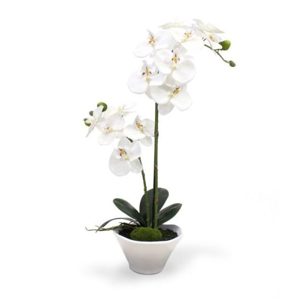Phalaenopsis Orchidee kunstplant 50 cm x2 in schaal 4