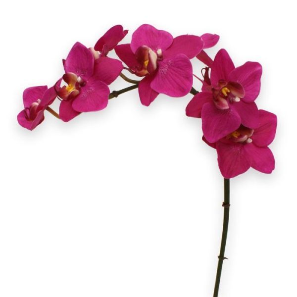 Phalaenopsis Orchidee kunstplant 80 cm paars 3