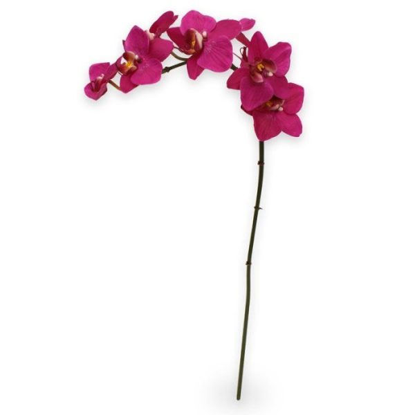 Deze mooi nagemaakte kunstbloem is een kopie van de best verkochte Orchidee van Nederland: De Phalaenopsis Orchidee! Deze zijden Phalaenopsis 80 cm paars wordt als losse steel geleverd en kan enkel of met meerdere in veel verschillende sierpotten en vasen gestoken worden tot de kleurrijkste arrangementen. Hierdoor is de kunst Orchidee niet alleen ter decoratie voor in huis