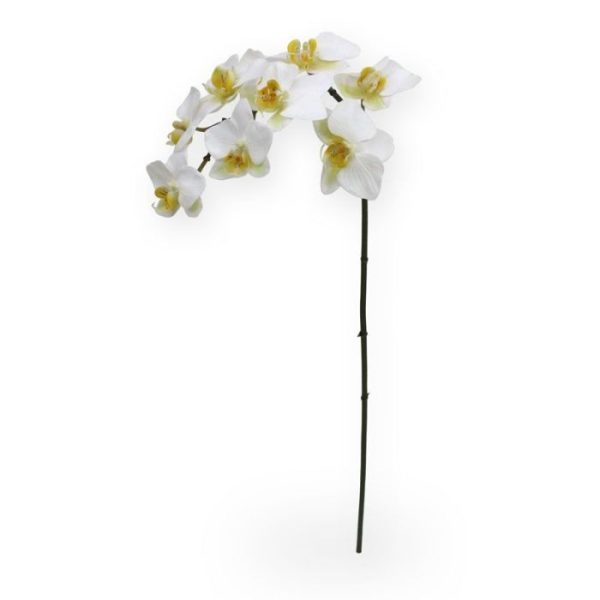 Phalaenopsis Orchidee kunstplant 80 cm wit Deze mooi nagemaakte kunstbloem is een kopie van de best verkochte Orchidee van Nederland: De Phalaenopsis Orchidee! Deze zijden Phalaenopsis 80 cm wit wordt als losse steel geleverd en kan enkel of met meerdere in veel verschillende sierpotten en vasen gestoken worden tot de kleurrijkste arrangementen. Hierdoor is de kunst Orchidee niet alleen ter decoratie voor in huis