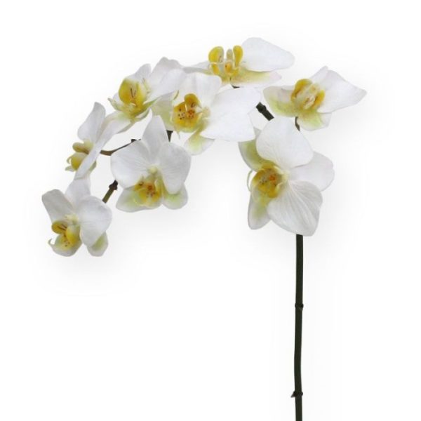 Phalaenopsis-Orchidee-kunstplant-80-cm-wit-7 Phalaenopsis Orchidee kunstplant 80 cm wit 7