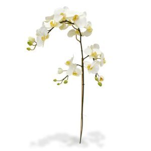 Deze prachtig nagemaakte Phalaenopsis Tak XL 110 cm wit is een kopie van de best verkochte Orchidee van Nederland! Deze versie van de kunst orchidee is zeer gedetailleerd nagemaakt met verscheidene zijtakken