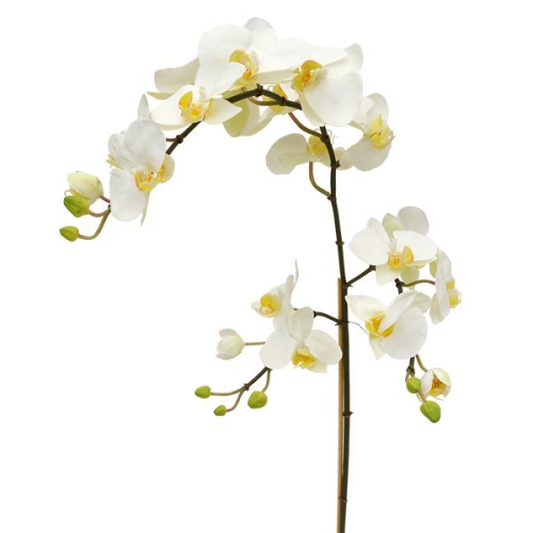 Phalaenopsis-kunsttak-XL-110-cm-wit-6 Phalaenopsis kunsttak XL 110 cm wit 6