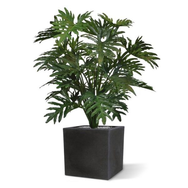 Groene kunstbomen diep ingesneden bladeren