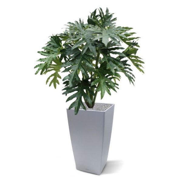 Groene kunstplanten wordt in de volksmond ook wel 'de gatenplant' genoemd. En dat is niet voor niets zoals u ziet. De schitterende donkergroene bladeren zijn niet alleen zeer mooi nagemaakt