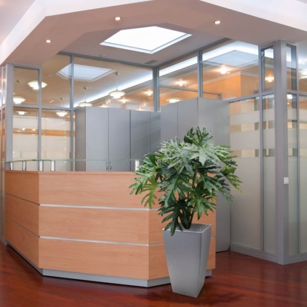 Philo-Selloum-kunstplant-100-cm-4 waardoor de plant zeer volumuneus toont. De diameter van de Philo bedraagt zo'n 90 cm en de hoogte is circa 105 cm. Door zijn imposante uitstraling is de Philo geschikt om zowel in een hoge