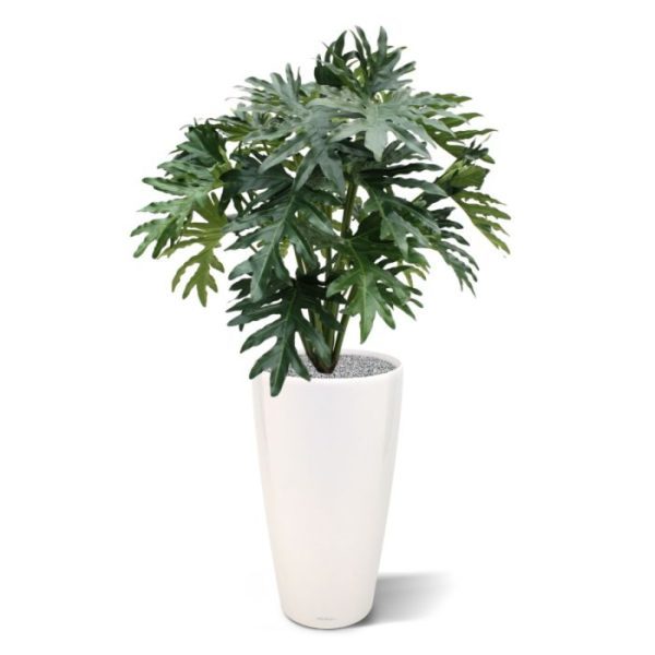 Philo Selloum kunstplant 100 cm Deze reusachtige Philo