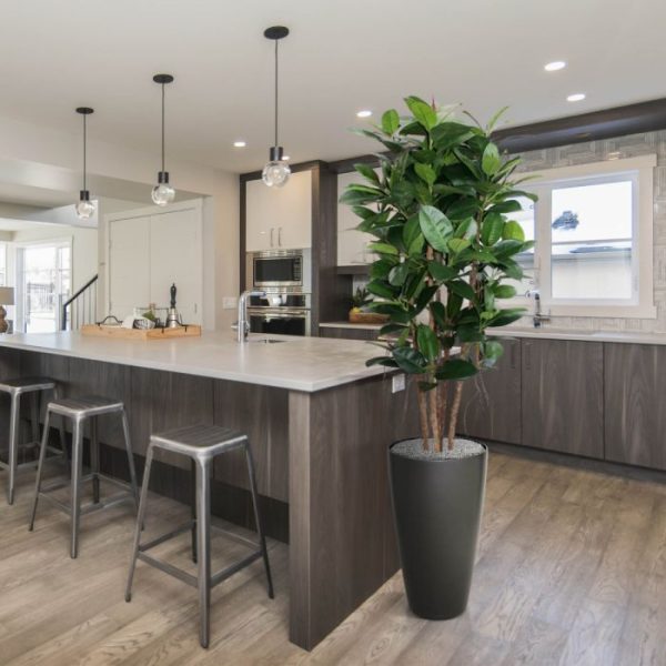 waardoor de plant zeer natuurgetrouw is. Extra aandacht gaat uit naar de meerdere echt houten stammen waarop deze Philodendron is opgebouwd. De diameter van de Philo bedraagt zo'n 60 cm en de hoogte is ongeveer 150 cm. Door zijn imposante uitstraling is de Philo geschikt om zowel in een hoge