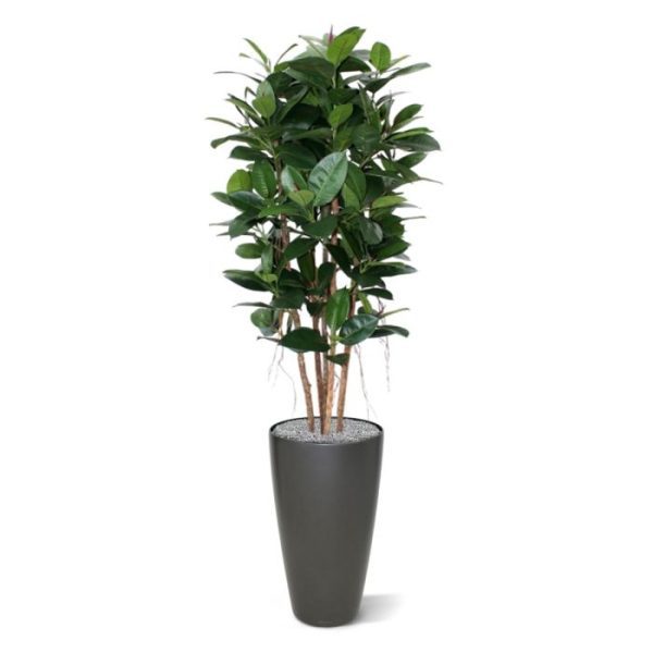 Deze geweldige Philodendron Kolom kunstplant 155 cm