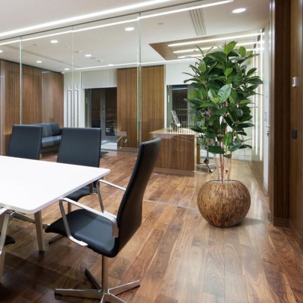 Philodendron Kolom kunstplant 155 cm 9