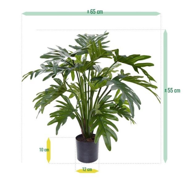 past de plant perfect in een modern interieur.