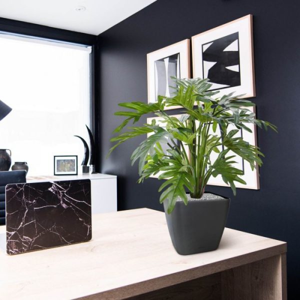 Philodendron Xanadu 50 cm kunstplant 5