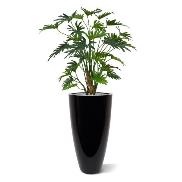 Philodendron Xanadu 80 cm kunstplant 10