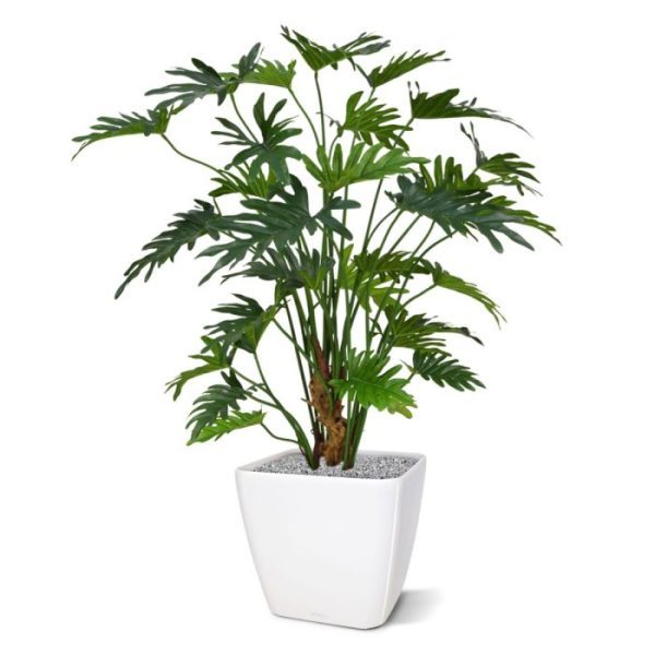 past de plant perfect in een modern interieur. Standaard wordt deze Philo in een plastic binnen pot geleverd