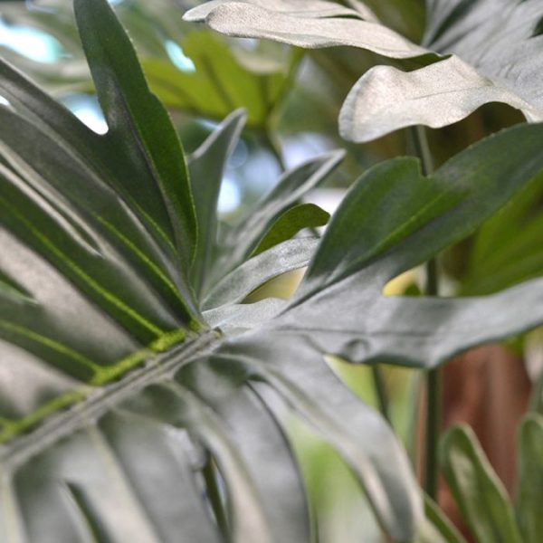 zodat hij gemakkelijk in een sierpot te plaatsen is.