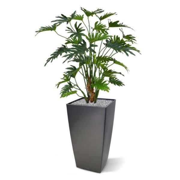 De Philodendron Xanadu is een perfecte groene kunstplant voor op kantoor of in de huiskamer. Door zijn opbouw op een echt houten en robuuste stam en de hoge kwaliteit van de materialen is deze plant bijna niet van echt te onderscheiden! De hoogte van de Philo Xanadu kunstplant is ongeveer 85 cm