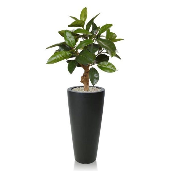 Kunstplanten maar qua afmeting ook heel divers