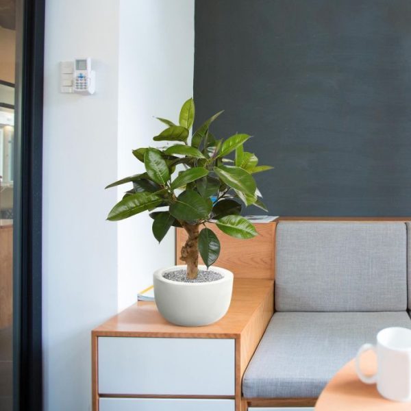 Philodendron-kunstplant-70-cm-op-voet-4 Philodendron kunstplant 70 cm op voet 4