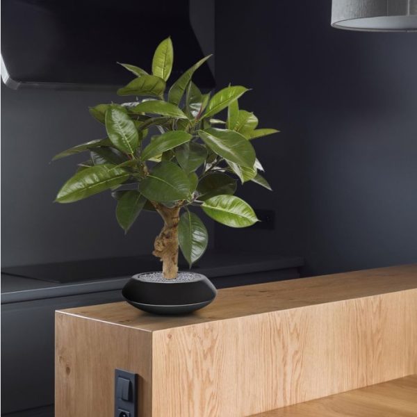 Philodendron-kunstplant-70-cm-op-voet-5 Philodendron kunstplant 70 cm op voet 5